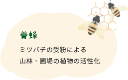 養蜂 ミツバチの受粉による山林・圃場の植物の活性化